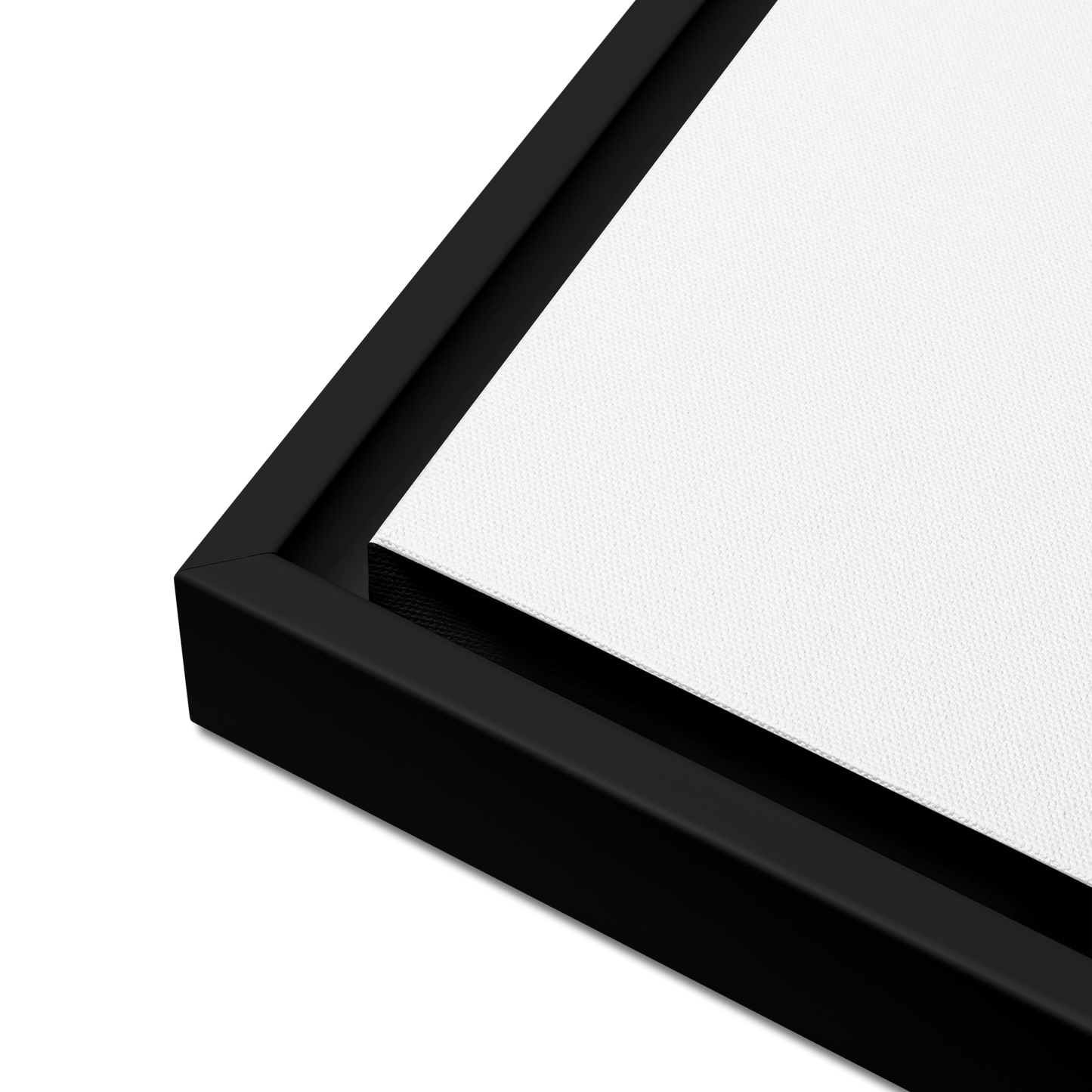 Framed canvas_Solitary Strength